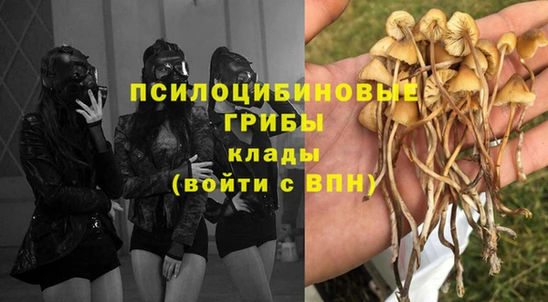 ALPHA PVP Балабаново