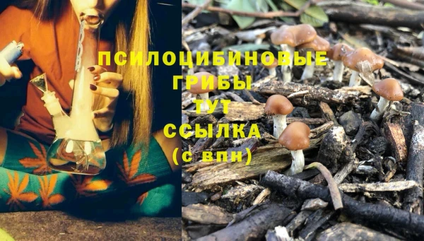 винт Баксан