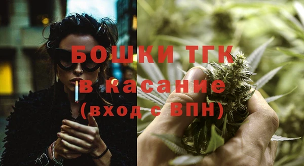 шишки Сосновка
