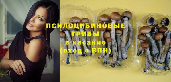 винт Баксан